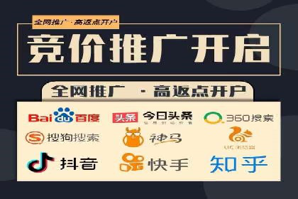 行业领先企业的关键词竞价排名实战案例